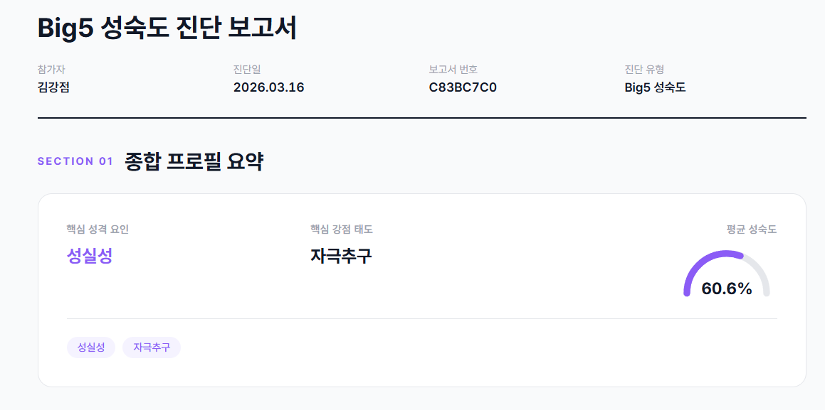 Big5 성숙도 진단 보고서 종합 프로필 요약 화면